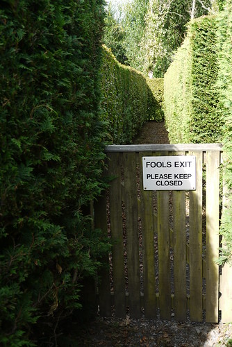 Fools Exit