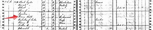 1865 RI State Census Crop by midgefrazel