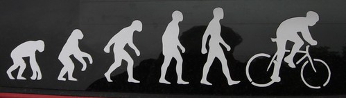 Evolution of Man sticker