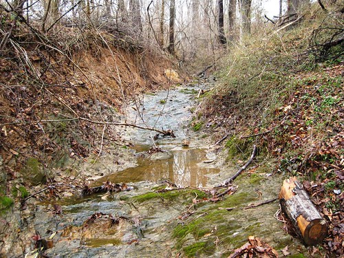 Image of Germantown Park Stream