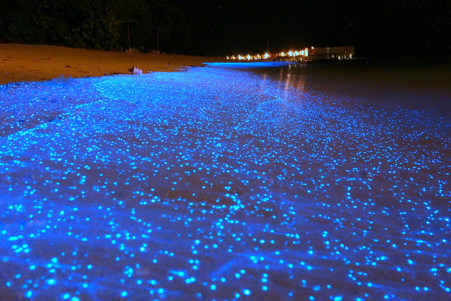 Maldives?-blue sand