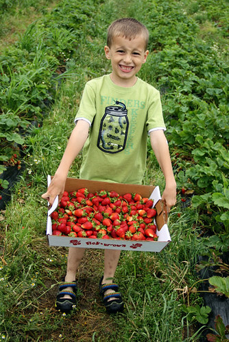 Nat_Big-crate-of-strawberries