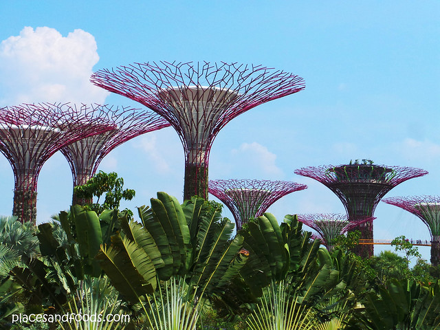 gardens by the bay huge trees