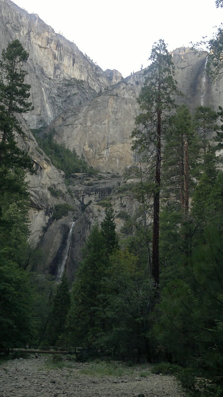 Viernes Día 12 de Julio: Yosemite (II) - 25 días por los parques nacionales del Oeste de USA: un Road Trip de 10500 kms (10)
