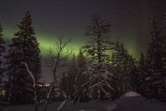 Luces del Norte Saariselka Laponia Finlandesa