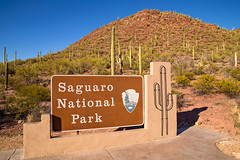 Saguaro National Park (3-14-17)