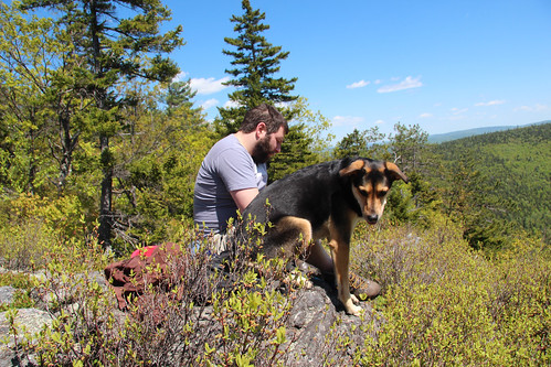 mike and laika at the top