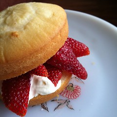 初American Shortcake