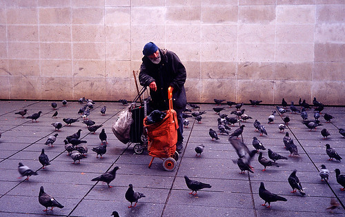 oldman and birds by mikhail_serbin