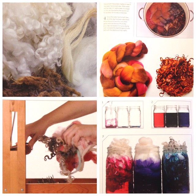 Images from Ashley Martineau's book Spinning & Dyeing Yarn - review on Crafts from the Cwtch blog