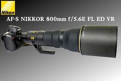Nikon AF-S 800mm f/5.6E FL ED VR 測試