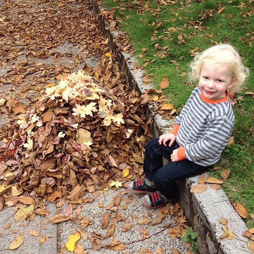 Proud of his leaf pile!