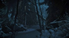 Until Dawn - Winter Forest At Night