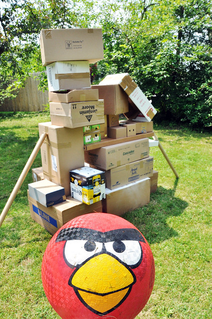 angry birds 3D