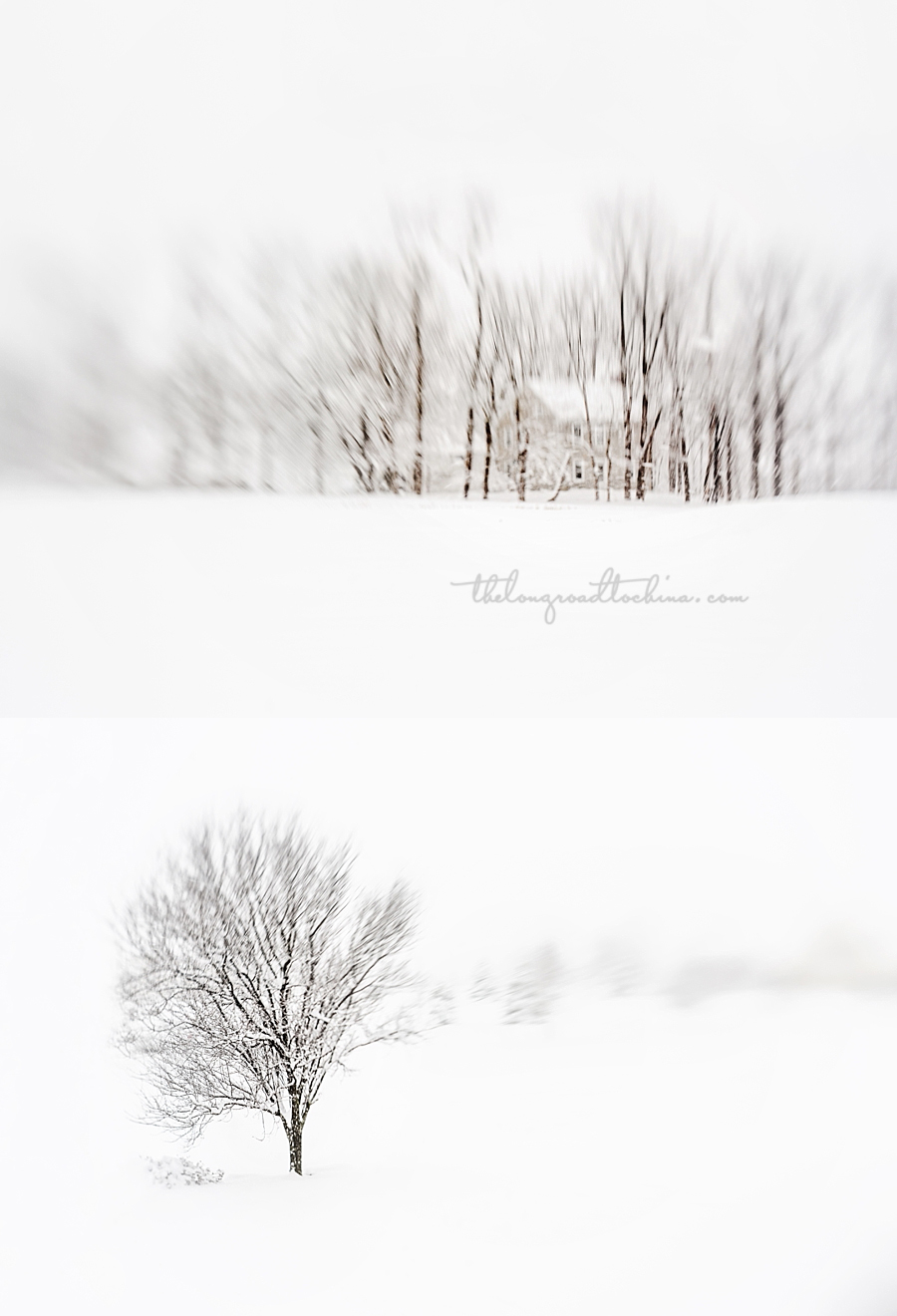 Lensbaby Winter Scenes