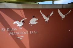 St Kilda Mangrove Trail, South Australia