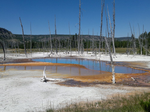 Martes Día 23 de Julio: Yellowstone (II) - 25 días por los parques nacionales del Oeste de USA: un Road Trip de 10500 kms (45)