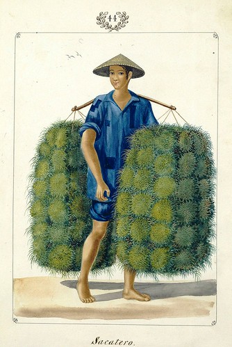 012-Sacatero -Vistas de las Yslas Filipinas y Trages…1847-J.H. Lozano- Biblioteca Digital Hispánica