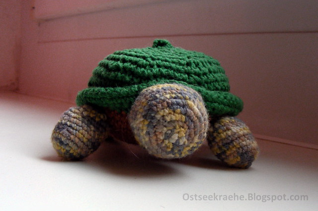 Schildkröte2