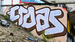 Den haag Graffiti  CROAS