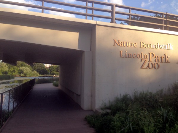 nature boardwalk lincoln park zoo