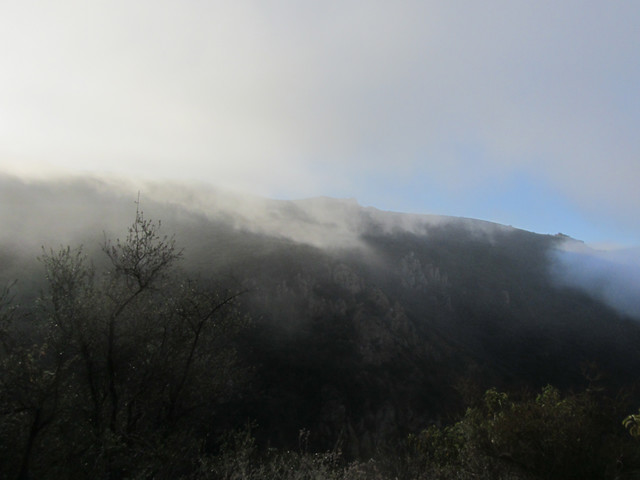 fog moves through the canyon