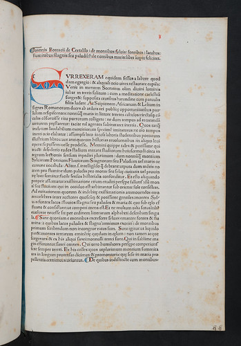 Penwork initial in Boccaccio, Giovanni: De montibus, silvis, fontibus