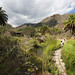 El Jardín Botánico Viera y Clavijo,( Jardín Canario) en Las Palmas de Gran Canaria