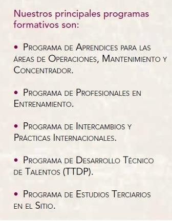 Principales programas de formación y educación