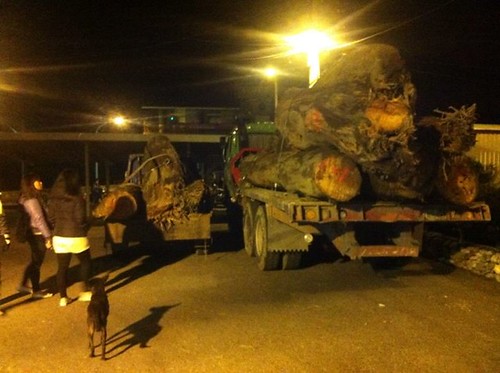 Lisin Haluwey拍攝銅門部落守夜包圍卡車