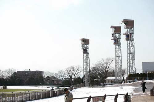 20140210 雪の東京競馬場 / Snowy Tokyo R.C.
