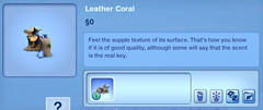 Leather Coral