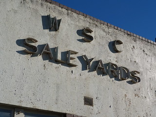 Warragul Shire Council Saleyards