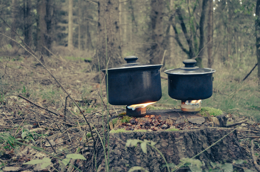 19 cooking on tree stumps