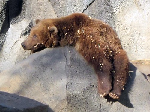 Riverbanks Zoo 2011