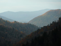 Miscellaneous of Great Smoky Mountains NP, TN