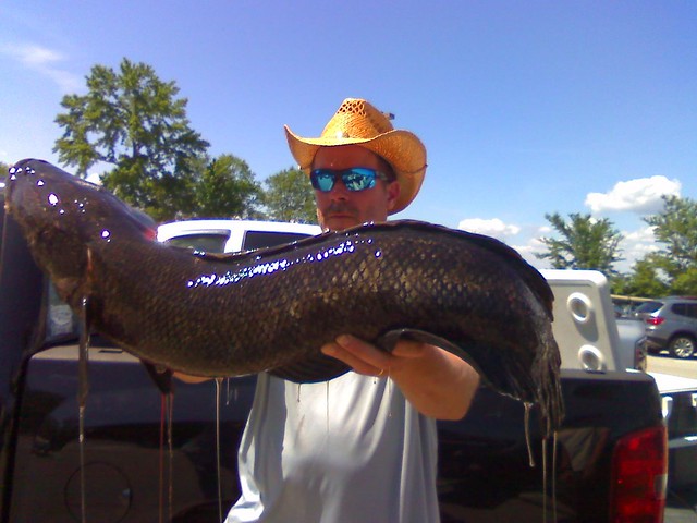 Berry holding his record snakehead