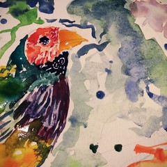 Watercolor, Finch 6/7