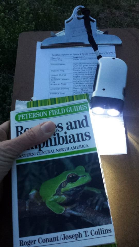 Image of a reptile and amphibian field guide