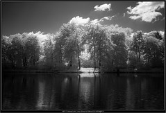 Infrared, one camera, one lens, one hour