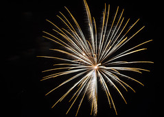 Fireworks, Jordan Park, Salt Lake City, July 4, 2014