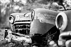 old rusty abandoned automobile in the woods