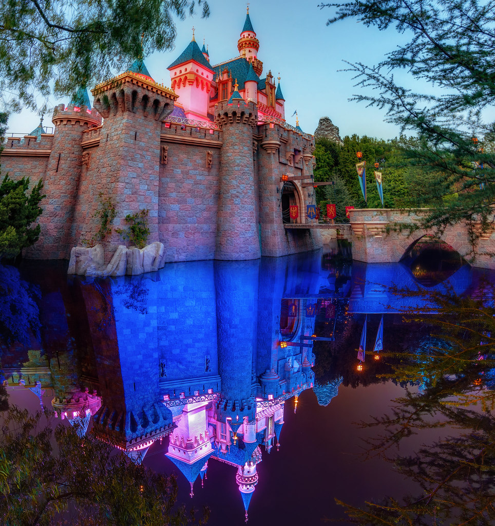 Day, Night, and Disney Magic