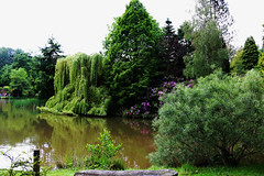 Bodenham Arboretum