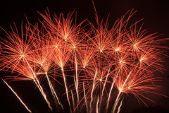 Somerville Fireworks 2014