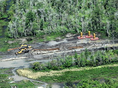 3 14 2017 Pipelines in Maurepas Swamp