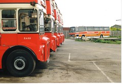 White Rose Routemasters