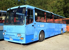 SAD Bolzano buses