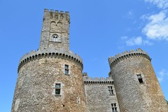 Chateau de Montbrun towers