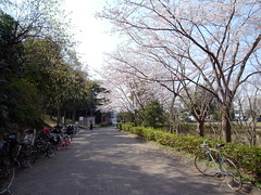 新林公園 Shinbayashikouen